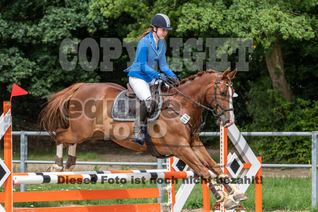 Late-Entry-Vielseitigkeit Langenfeld (06.+07.07.2020)