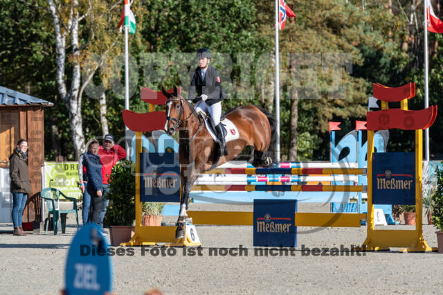 Deutsche Meisterschaft Vielseitigkeit (Luhmühlen)
