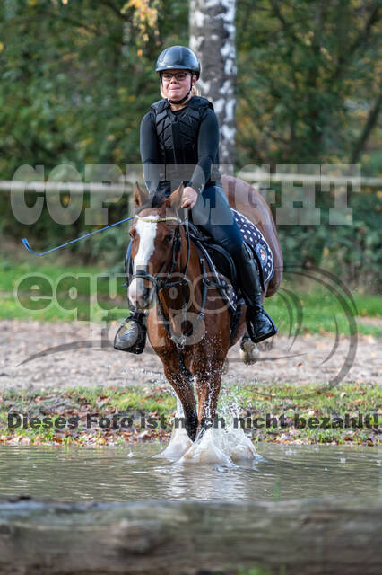 IGV Lehrgang der Sieger der Cups mit Frank Ostholt