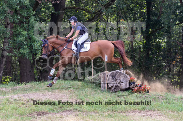 Late-Entry Vielseitigkeit Hamminkeln/Wesel (01.+02.08.2020)