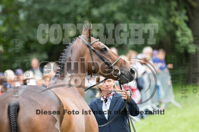 FEI European Championship Eventing 2017