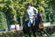 Kronenberg - De Peelbergen (August 2020)