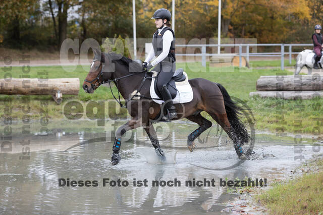 IGV Lehrgang der Sieger der Cups mit Frank Ostholt