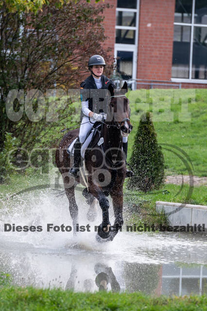 Goldene Schärpe 2020 - Pferde