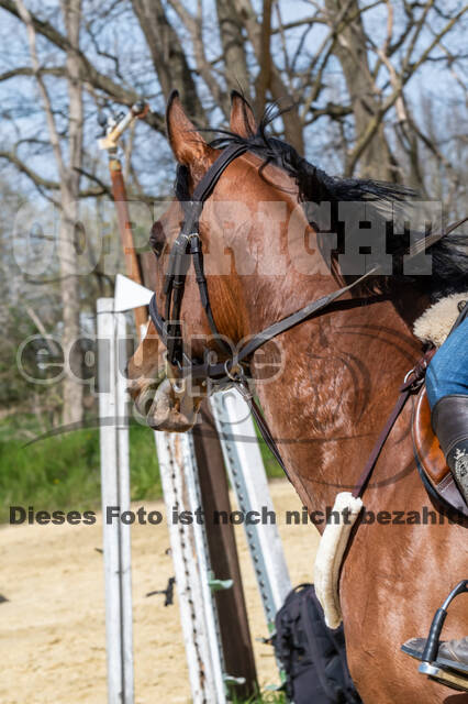 Geländetraining ZRFV Hamminkeln (24+25.04.2021)