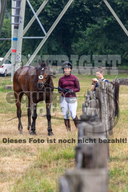 Late-Entry Vielseitigkeit Hamminkeln/Wesel (01.+02.08.2020)