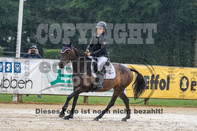 Goldene Schärpe 2021 - Ponys