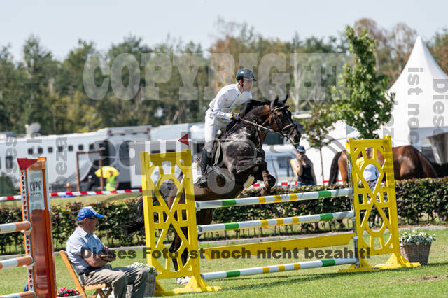 Kronenberg - De Peelbergen (August 2020)