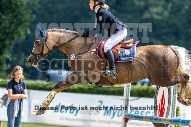 Goldene Schärpe 2021 - Ponys