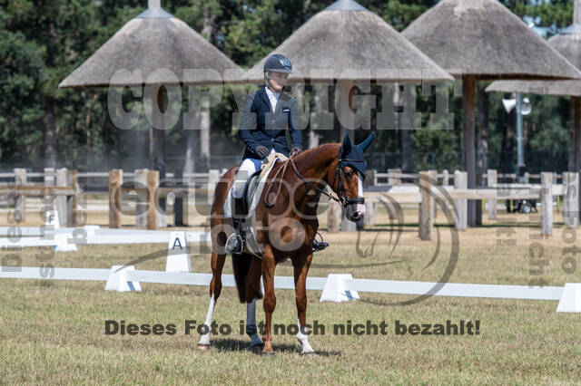 Kronenberg - De Peelbergen (August 2020)