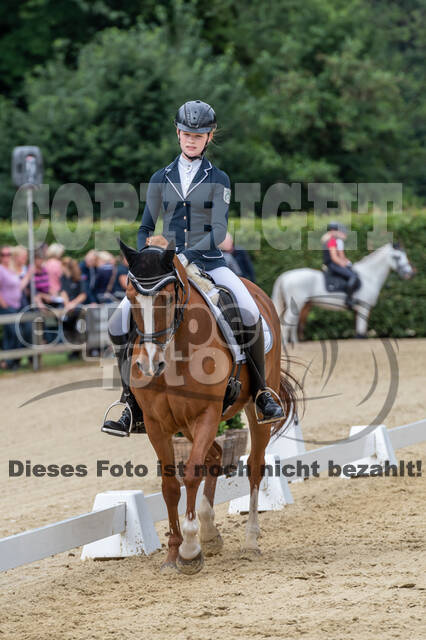 Goldene Schärpe 2021 - Ponys