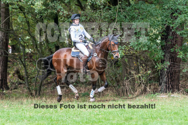 Vielseitigkeit RSV Wesel Obrighoven (26.+27.09.2020)