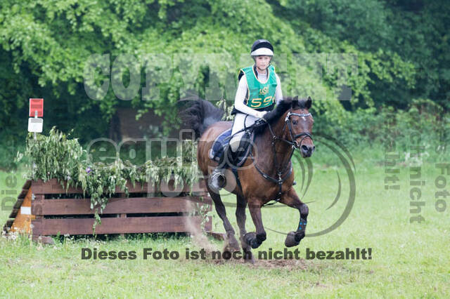 Vielseitigkeitsturnier ZRFV von Lützow Hamminkeln