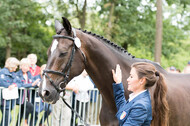 FEI European Championship