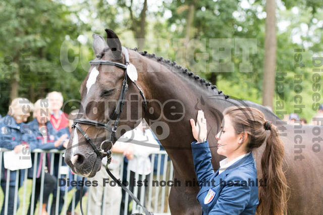 FEI European Championship