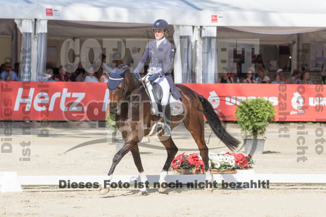 FEI European Championship Eventing 2017