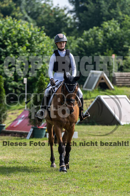 Goldene Schärpe 2021 - Ponys