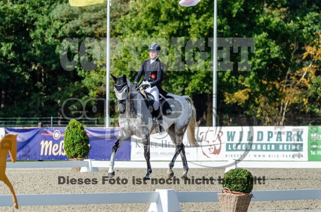 Deutsche Meisterschaft Vielseitigkeit (Luhmühlen)