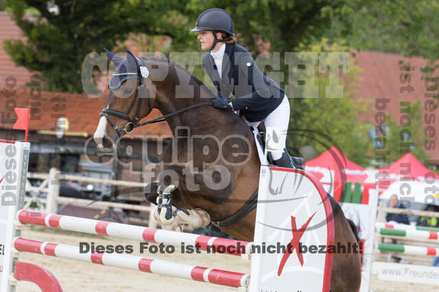 Sterne über Münster 2019 - CCI***S