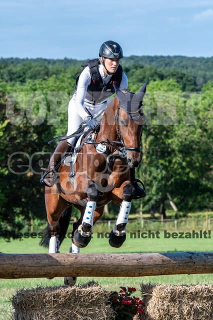 Bonn-Rodderberg Late-Entry-Vielseitigkeit (30.06.2020)