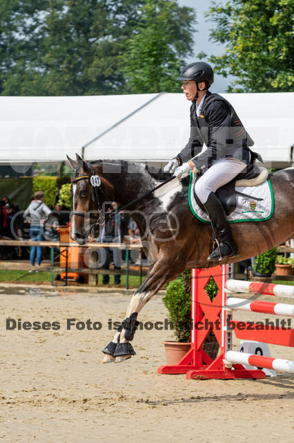 Goldene Schärpe 2021 - Ponys