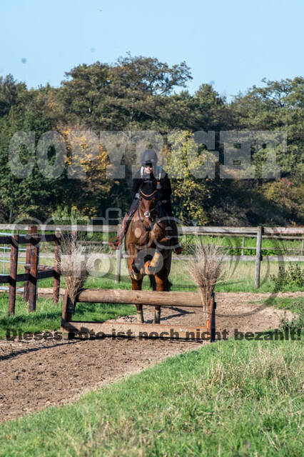 Vielseitigkeitslehrgang mit Jürg Kurbel (9.+10.11.2019)