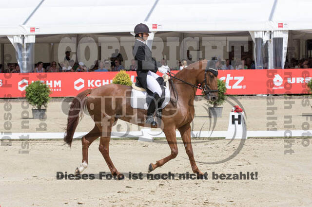 FEI European Championship Eventing 2017