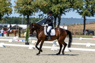Kronenberg - De Peelbergen (August 2020)