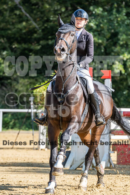 RFV Dinslaken-Hiesfeld (Herbstturnier)