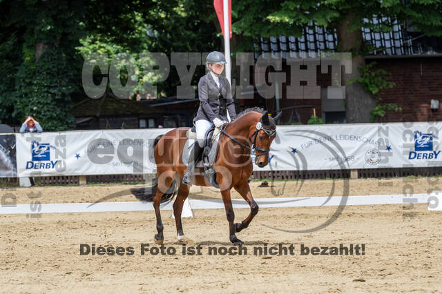 Goldene Schärpe 2021 - Ponys