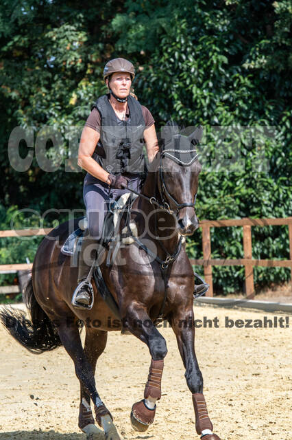 Hunter Geländetraining (16.08.2020)