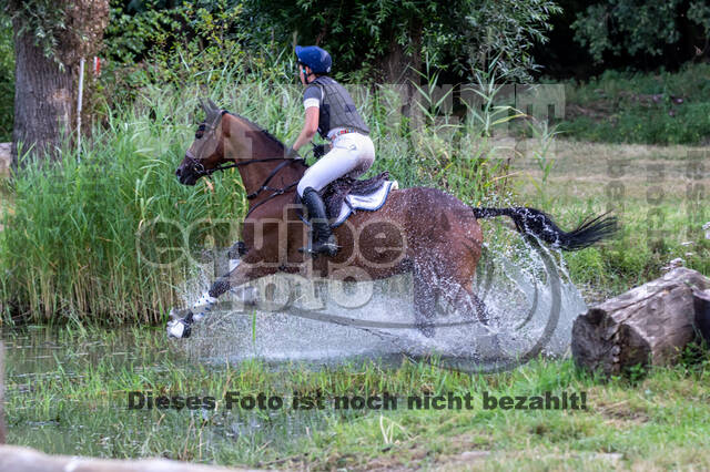 Late-Entry Vielseitigkeit Hamminkeln/Wesel (01.+02.08.2020)