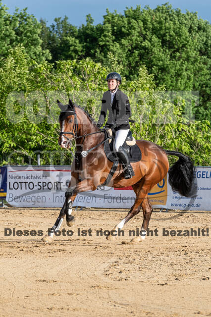 Westerstede Horse Trials 2021