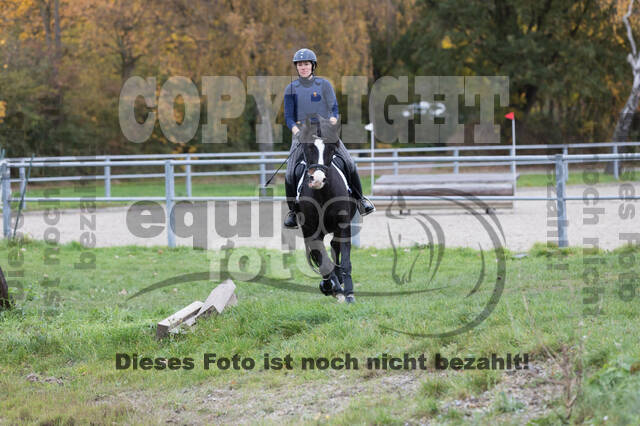 IGV Lehrgang der Sieger der Cups mit Frank Ostholt