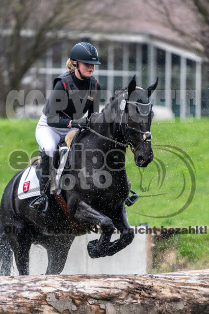 Goldene Schärpe 2020 - Pferde