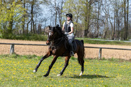 Geländetraining ZRFV Hamminkeln (24+25.04.2021)