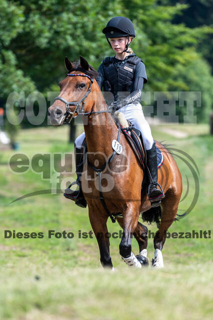 Goldene Schärpe 2021 - Ponys