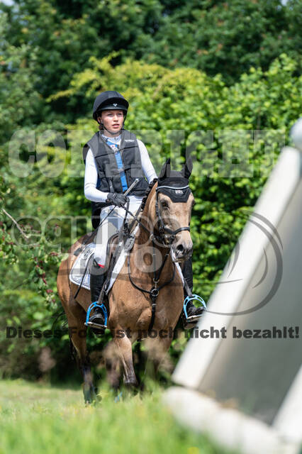 Goldene Schärpe 2021 - Ponys