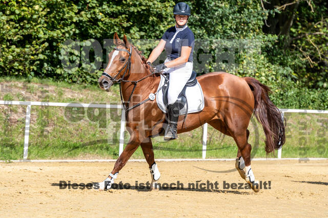 RFV Dinslaken-Hiesfeld (Herbstturnier)