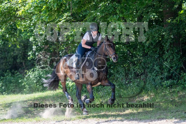 Test of Choise Langenfeld (29.+30.05.2021)