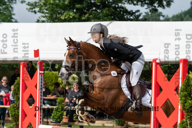 Goldene Schärpe 2021 - Ponys