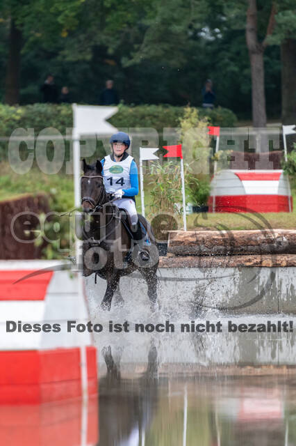 Deutsche Meisterschaft Vielseitigkeit (Luhmühlen)