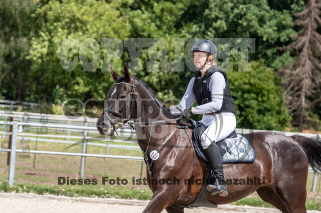Late-Entry-Vielseitigkeit Langenfeld (06.+07.07.2020)