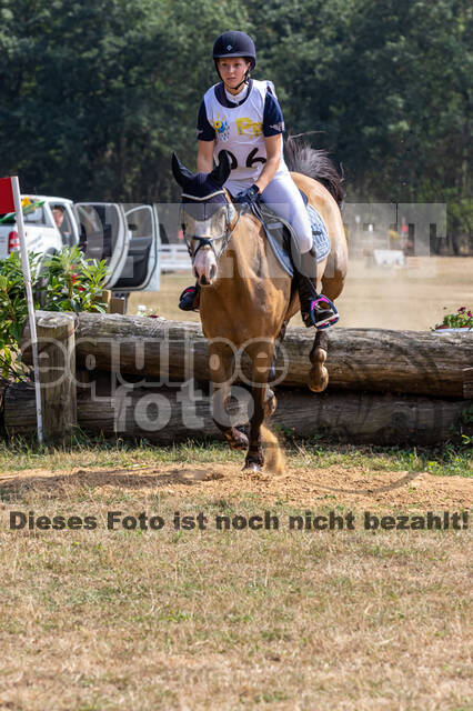 Late-Entry Vielseitigkeit Hamminkeln/Wesel (01.+02.08.2020)