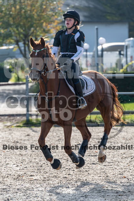 IGV Lehrgang der Sieger der Cups mit Frank Ostholt