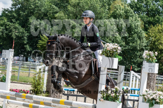 Late-Entry-Vielseitigkeit Langenfeld (06.+07.07.2020)