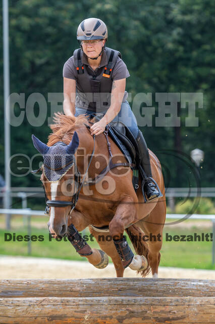 Hunter Geländetraining 10.07.2021 (Sonsbeck)