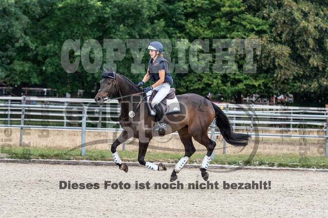 Late-Entry-Vielseitigkeit Langenfeld (11.+13./14.06.2020)