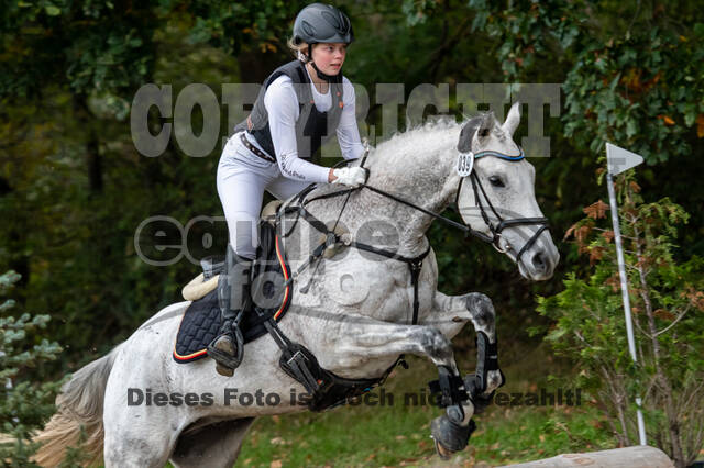 Goldene Schärpe 2020 - Pferde