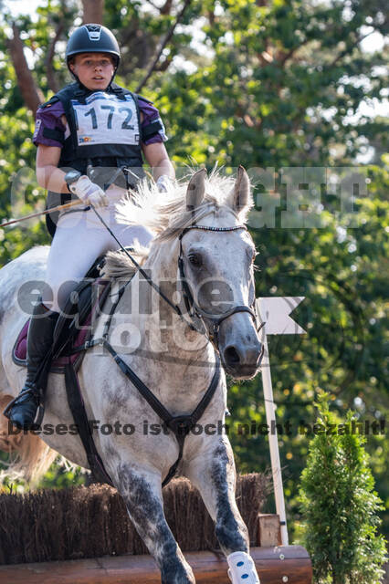 De Peelbergen (August 2020)